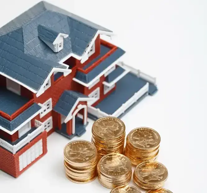 Why Choose the Finance Hub